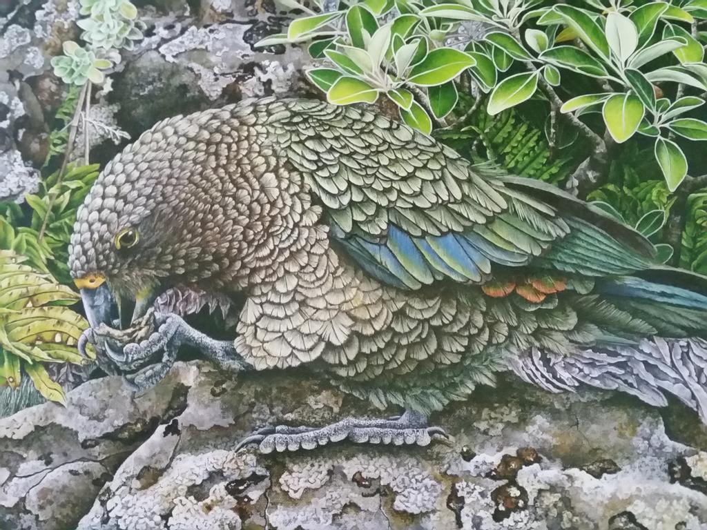 Kea Cottage Te Anau Buitenkant foto